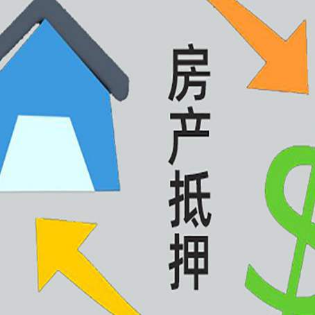 九合垸原种场助贷公司正规的有哪些新渝启服