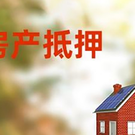 九合垸原种场贷款中介公司新渝启服有哪些渠道
