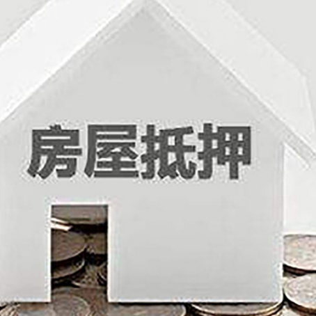 九合垸原种场企业经营贷款的用途是什么?