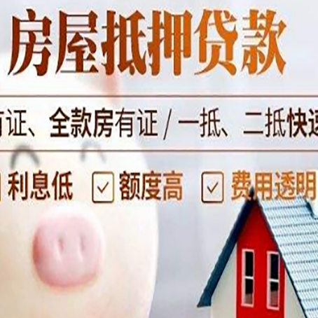 九合垸原种场贷款助贷公司新渝启服靠谱公司