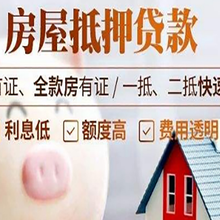 九合垸原种场贷款助贷公司新渝启服成立时间久