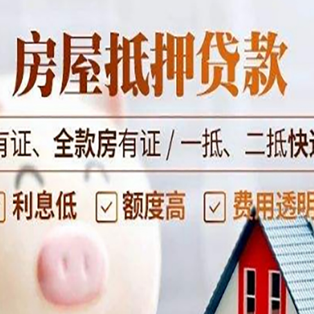 九合垸原种场贷款中介公司新渝启服本地公司