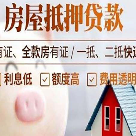 九合垸原种场贷款中介公司新渝启服实力公司