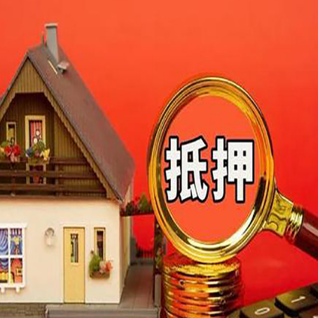 九合垸原种场房屋抵押贷款担保中，抵押权有哪些类型？